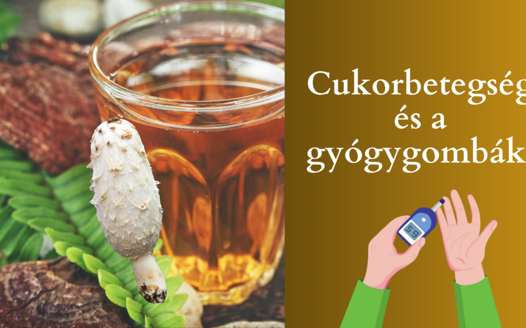 Cukorbetegség és a gyógygombák 2025-ben
