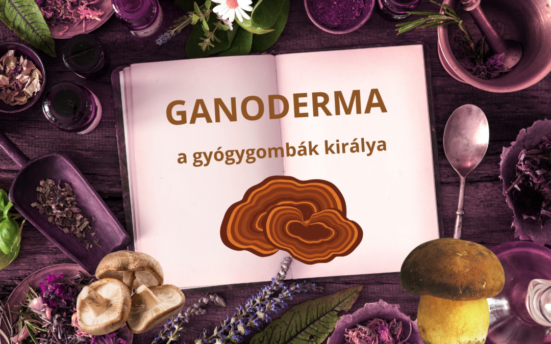 GANODERMA, a gyógygombák királya!