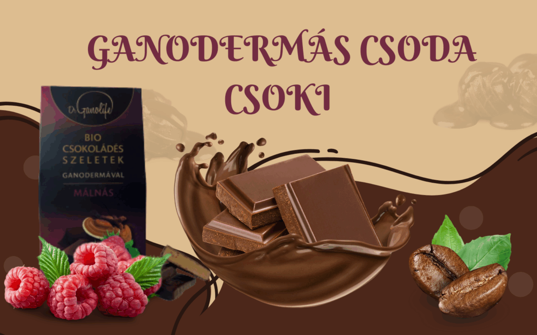 Ganodermás csoda csoki