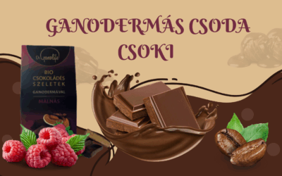 Ganodermás csoda csoki