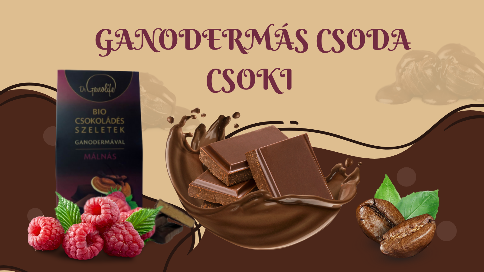 ganodermas-csoki-2025