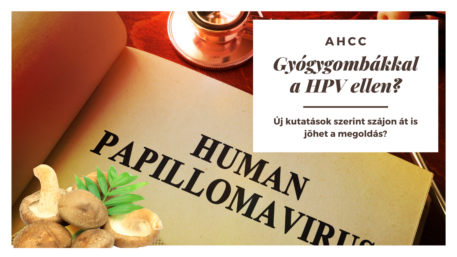Lehetséges, hogy a HPV kezelhető lesz a gyógygombákkal?