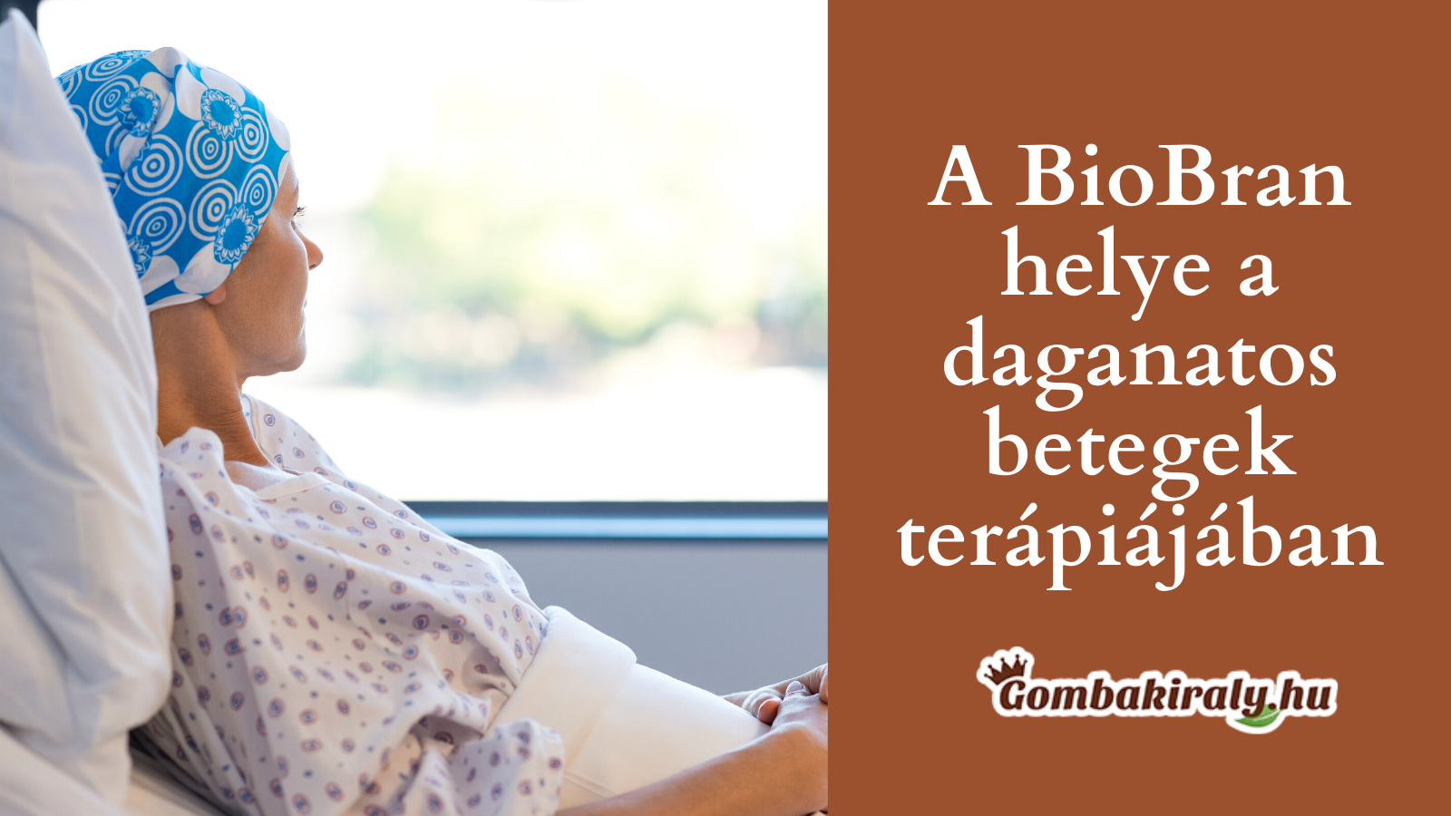 BioBran® helye a daganatos betegek terápiájában