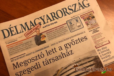 Életkori korlátozások Floridában