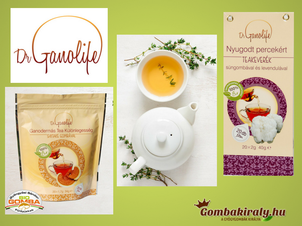 Dr Ganolife tea specialitások