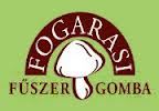 fogarasi-logó