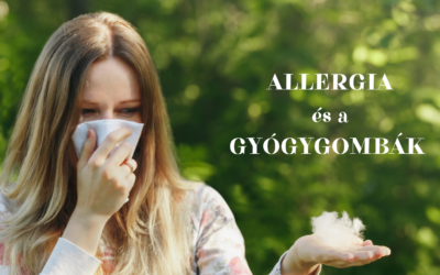 Allergia és a gyógygombák