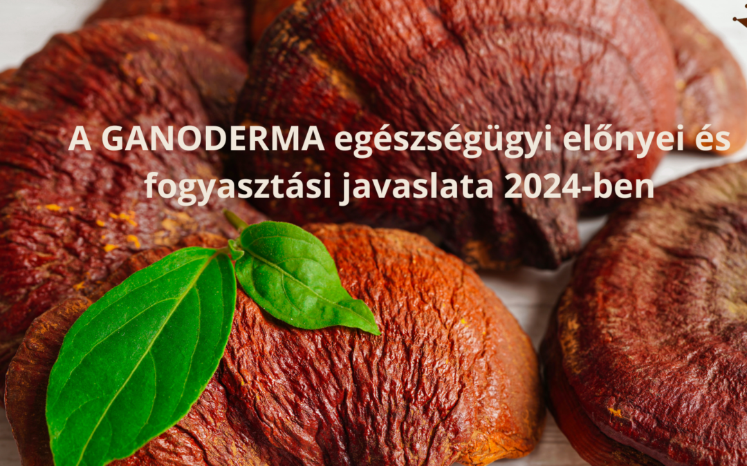 A GANODERMA egészségügyi előnyei és fogyasztási javaslata 2025-ben