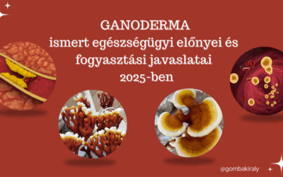 A GANODERMA egészségügyi előnyei és fogyasztási javaslata 2025-ben