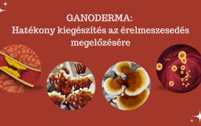 Ganoderma és az érelmeszesedés