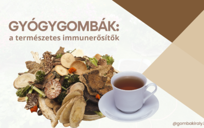 Gyógygomba: A természetes immunerősítő