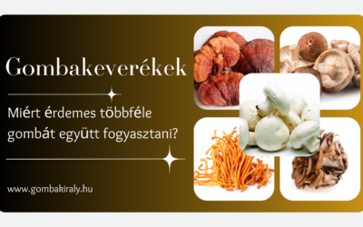 Miért érdemes gombakeveréket fogyasztani?