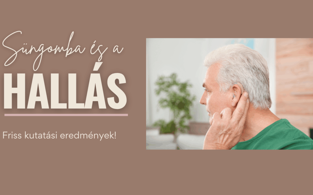 Süngomba és az időskori hallás – Friss kutatási eredmények!