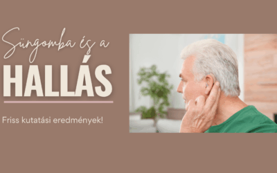 Süngomba és az időskori hallás – Friss kutatási eredmények!