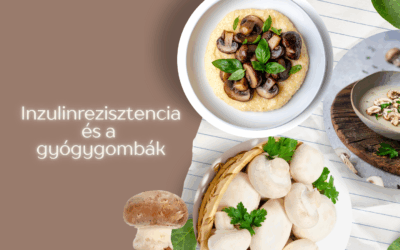 Inzulinrezisztencia és a gyógygombák