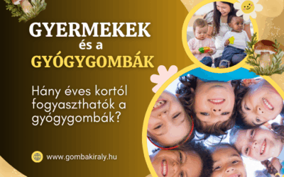 Hány éves kortól fogyaszthatók a gyógygombák?