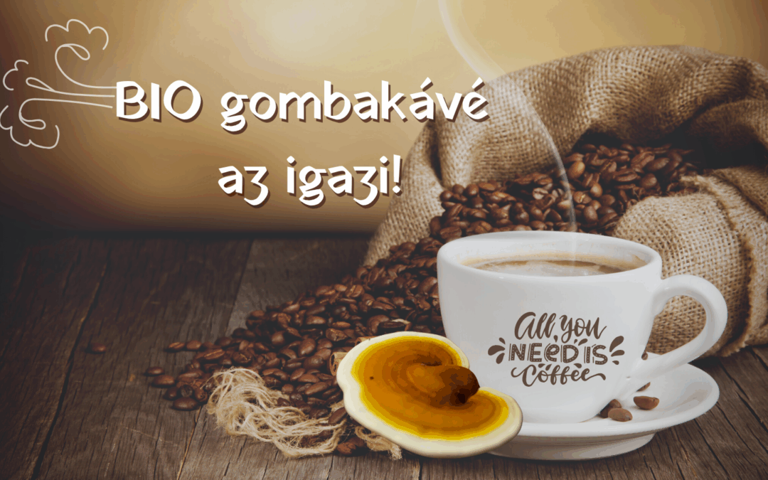 A gombakávé élmény, de csak bio minőségben az igazi!