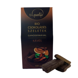 Bio csokoládés szeletek - KÁVÉS