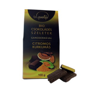 Bio csokoládés szeletek - KURKUMA-CITROM