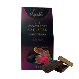 Bio csokoládés szeletek - MÁLNÁS