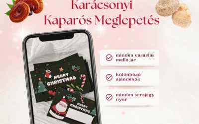 Karácsonyi Kaparós Meglepetés