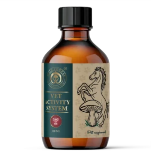 Naja Forest VET ACTIVITY kivonat